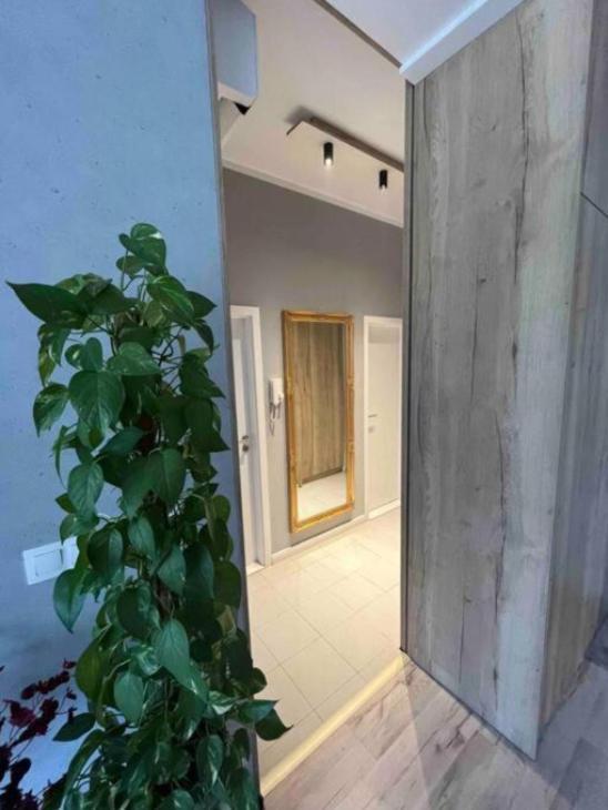 Cozy Apartment Bratislava Esterno foto